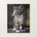 Search for one colour puzzles Domestic animals