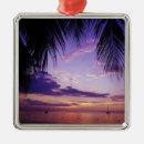 Search for palm trees christmas tree decorations Sunset