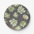 Search for succulent plates Greenery