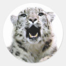 Search for snow leopard stickers Animal
