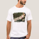 Search for goya tshirts Francisco