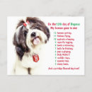 Search for 12 days of christmas postcards Parody