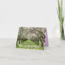 Search for blossoming almond tree cards Blossoms