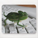 Search for chameleons mousepads Humour