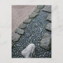 Search for harmony postcards Floral