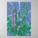 Search for bluebonnets posters Lupine