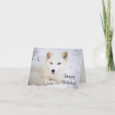 Search for arctic fox cards White
