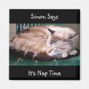 Search for says magnets Cat