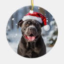 Search for cane corso christmas tree decorations Puppy