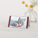 Search for tabbys place Kitty