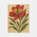 Search for peruvian blankets Alstroemeria