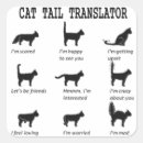 Search for cat tail stickers Cats