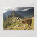 Search for aguas postcards Inca