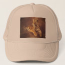 Search for siberian hats Wildlife