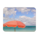 Search for turks and caicos magnets Tropical