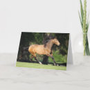 Search for buckskin cards Lusitano