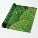 Search for raindrop wrapping paper Nature