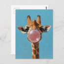 Search for pink gum postcards Cute
