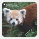 Search for national animal stickers Forest