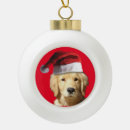 Search for pup christmas tree decorations Golden