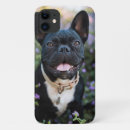 Search for stands iphone cases Pets