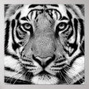 Search for cat profile art Animal