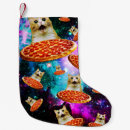 Search for cat christmas stockings Kitten