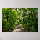 Search for tulum mexico posters Palm tree