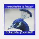 Search for knowledge magnets Education