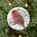 Search for cardinal bird christmas tree decorations Winter birds