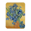 Search for irises magnets Still life