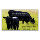 Search for angus magnets Farming