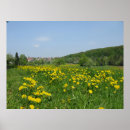 Search for meadow art Blue sky