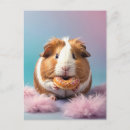 Search for pet food postcards Rodent