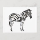 Search for zebra postcards Animals