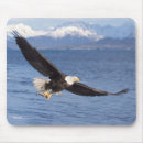 Search for predators mousepads Carnivore