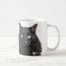 Search for fuzzy mugs Cats