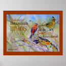 Search for grasslands posters Wildlife