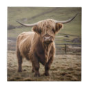 Search for horned tiles Highland