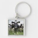 Search for rowing key rings Animal