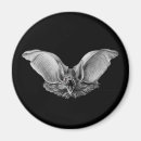 Search for for vampires magnets Bat