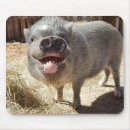 Search for pig mousepads Farm