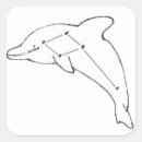Search for constellations stickers Dolphin