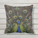 Search for pea fowl Feathers