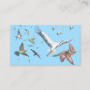 Search for bird flight invitations Wildlife