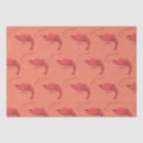 Search for prawns Animal