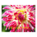 Search for spring love art Colourful