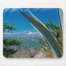 Search for ecuador electronics South america
