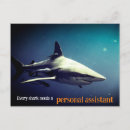 Search for blue shark postcards Wildlife