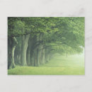 Search for jones postcards White